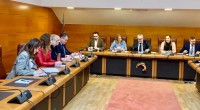 Dolores Gallardo, presidenta de la APC, comparece en el Parlamento de Cantabria para defender la creación del Colegio Oficial del Periodistas de Cantabria